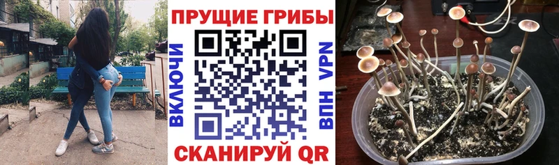 Галлюциногенные грибы мухоморы где купить Феодосия